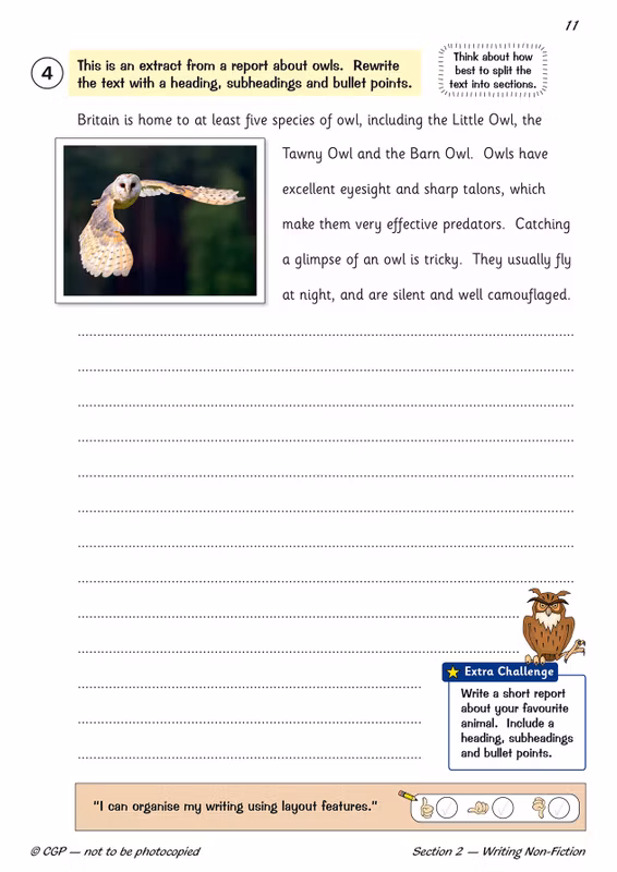 Sample of Year 5 Complete Pack Ages 9-10 CGP Scholastic 15 Books with Answers NEW ()