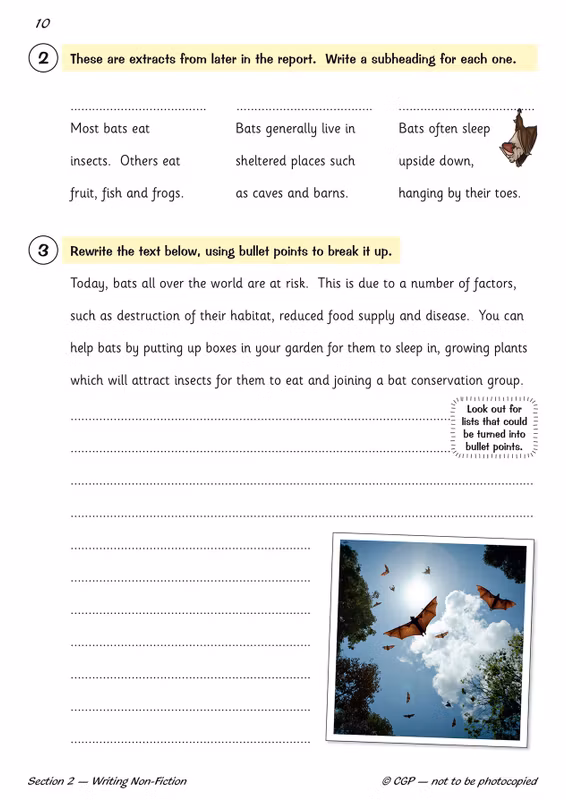 Sample of Year 5 Complete Pack Ages 9-10 CGP Scholastic 15 Books with Answers NEW ()