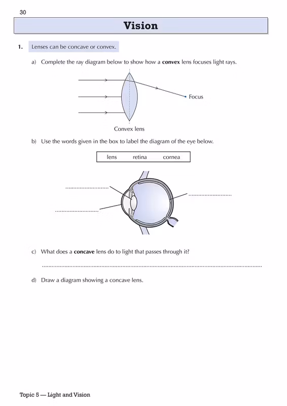 Sample of KS3 Year 8 English Maths Science Workbooks Ages 12-13 CGP with Answers NEW ()