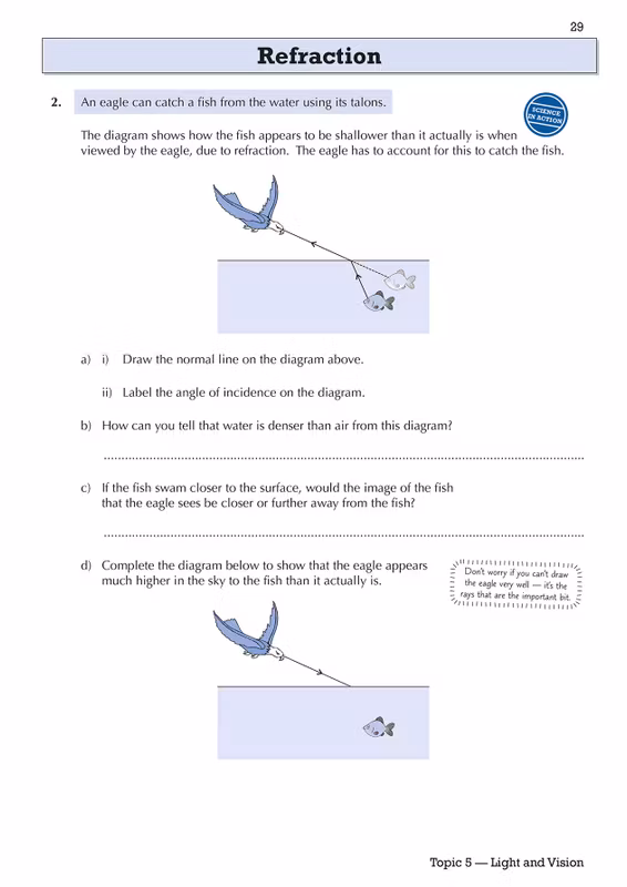 Sample of KS3 Year 8 English Maths Science Workbooks Ages 12-13 CGP with Answers NEW ()