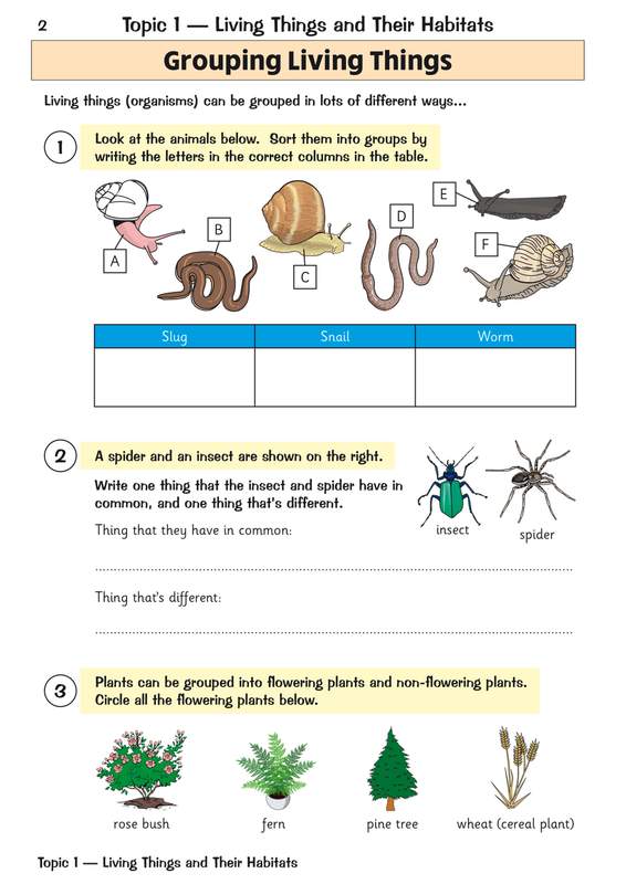Sample of KS2 Year 4 English Maths Science Question Books Pack Ages 8-9 CGP with Answers ()