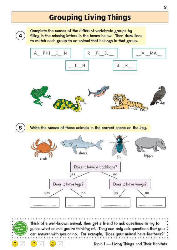 Sample of KS2 Year 4 English Maths Science Question Books Pack Ages 8-9 CGP with Answers ()