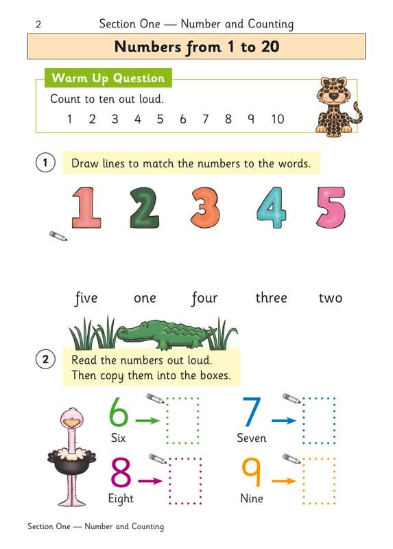 Sample of Reception English & Maths Practice Books Pack Ages 4-5 CGP with Answers NEW ()