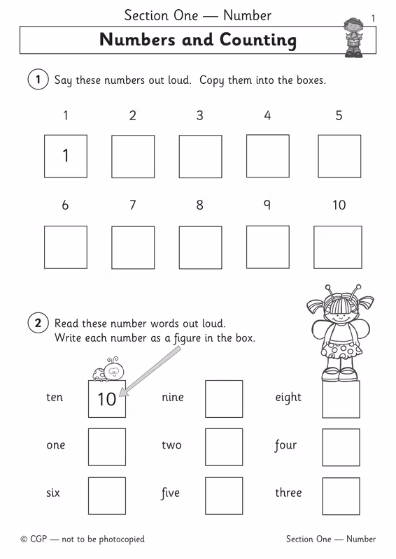 Sample of Reception Maths Workbook Pack Ages 4-5 CGP Schofield & Sims with Answers NEW ()