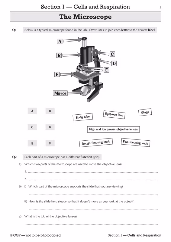 Sample of KS3 Science Workbook Pack Ages 11-14 CGP Biology Chemistry Physics with Answers ()