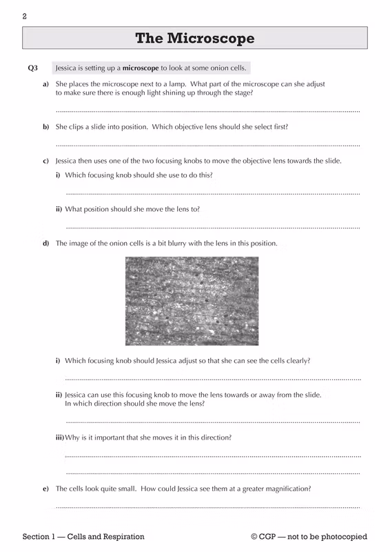 Sample of KS3 Science Workbook Pack Ages 11-14 CGP Biology Chemistry Physics with Answers ()