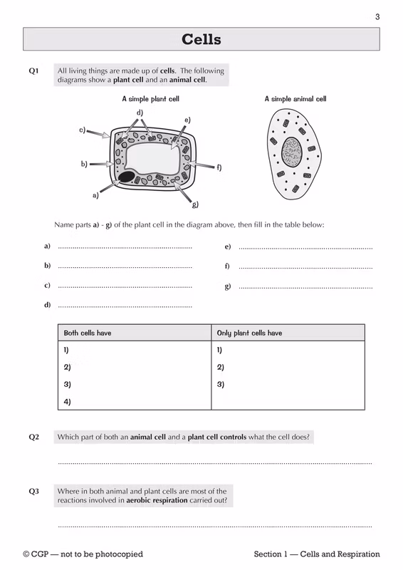Sample of KS3 Science Workbook Pack Ages 11-14 CGP Biology Chemistry Physics with Answers ()