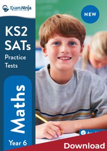 Year 6 Maths Tests (Download, Personal Licence)