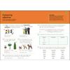 Children complete sentences and fill in a chart to practise forming comparative and superlative adjectives