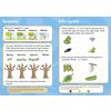 Children order frog and butterfly life cycles, draw leaves on trees, and circle their favourite season