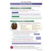 GCSE History Complete Revision & Practice (Ages 14-16) Look Inside Image 3