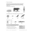 A page explains food chains with three examples, then asks children to name plants, animals and draw their own chain