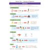 KS3 Science Complete Revision & Practice (Ages 11-14) Look Inside Image 3