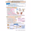 KS3 Science Study & Workbook Pack (Ages 11-14) Look Inside Image 2