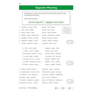 11+ Verbal Reasoning Practice Book & Assessment Tests - Ages 10-11 (for all test providers) Look Inside Image 5