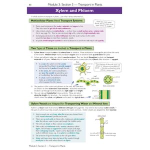 A-Level Biology: OCR A Year 1 & 2 Complete Revision & Practice w/Online Ed (For exams from 2026) Look Inside Image 4