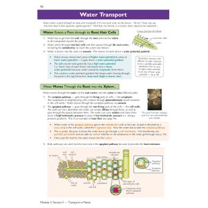 A-Level Biology: OCR A Year 1 & 2 Complete Revision & Practice w/Online Ed (For exams from 2026) Look Inside Image 6