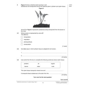 AQA GCSE Combined Science Practice Papers Foundation Pack 2 (Ages 15-16) Look Inside Image 4