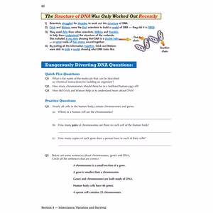 eBay Year 7 Complete Pack Look Inside Image 19