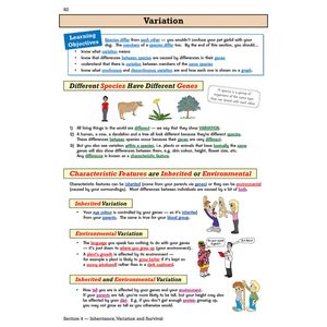 eBay Year 9 Complete Pack Look Inside Image 21