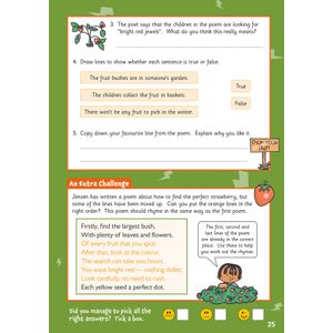 English Comprehension Activity Book for Ages 6-7 (Year 2) Look Inside Image 5