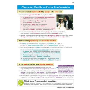 Frankenstein Text Guide (Ages 14-16) Look Inside Image 4