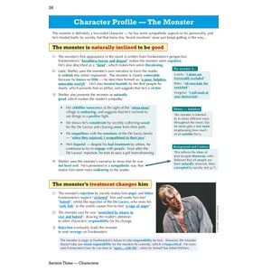Frankenstein Text Guide (Ages 14-16) Look Inside Image 5