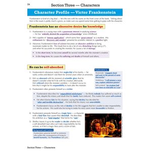 Frankenstein Text Guide (Ages 14-16) Look Inside Image 3