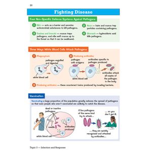 GCSE Biology AQA Knowledge Organiser Look Inside Image 4