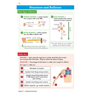 GCSE Biology Edexcel Knowledge Organiser Look Inside Image 6