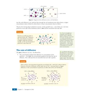 GCSE Biology for AQA: Student Book (with Online Edition) Look Inside Image 6