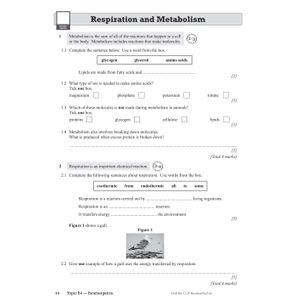 GCSE Combined Science AQA Complete Pack - Foundation Tier (Ages 14-16) Look Inside Image 39