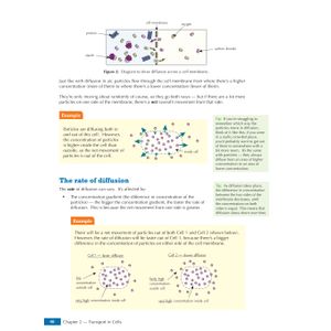 GCSE Combined Science for AQA Biology Student Book (with Online Edition) Look Inside Image 6
