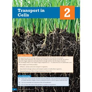 GCSE Combined Science for AQA Biology Student Book (with Online Edition) Look Inside Image 4