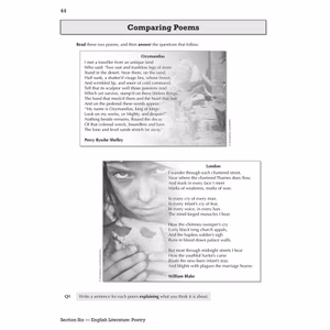GCSE English Language and Literature Workbook (includes Answers) Look Inside Image 5
