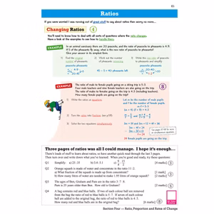 GCSE Maths Revision Guide (Higher Level) Look Inside Image 5