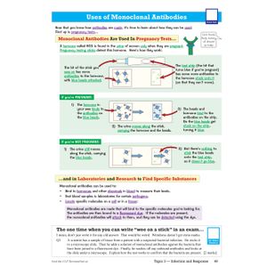 GCSE Biology AQA Higher Revision Guide Look Inside Image 9