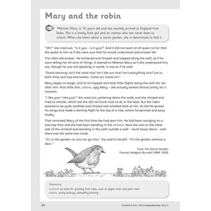KS1 Comprehension Workbook Pack (Ages 5-7) Look Inside Image 8