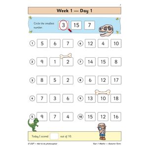 KS1 Maths Year 1 Daily Practice Book: Autumn Term Look Inside Image 3