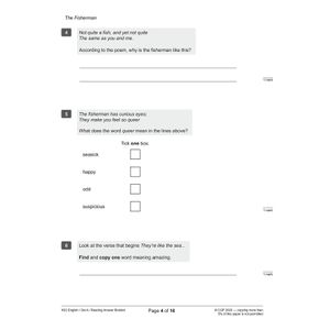KS2 English SATS Practice Papers: Pack 5 - for the 2024 tests (with free Online Extras) Look Inside Image 5