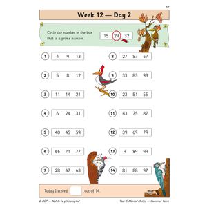 KS2 Mental Maths Year 5 Daily Practice Book: Summer Term Look Inside Image 4