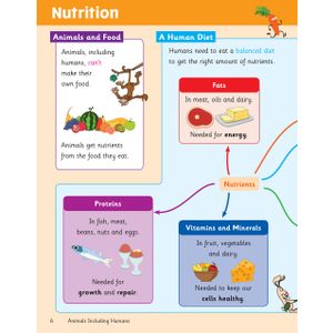KS2 Science Year 3 Knowledge Organiser Look Inside Image 4
