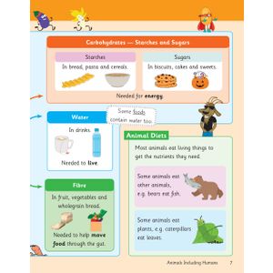 KS2 Science Year 3 Knowledge Organiser Look Inside Image 5