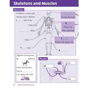 KS2 Science Year 3 Knowledge Retriever Look Inside Image 5
