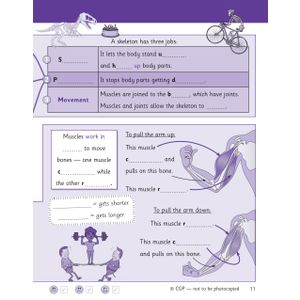 KS2 Science Year 3 Knowledge Retriever Look Inside Image 6