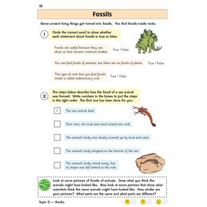 KS2 Science Year 3 Targeted Question Book (includes answers) Look Inside Image 4