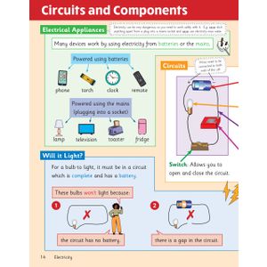 KS2 Science Year 4 Knowledge Organiser Look Inside Image 6