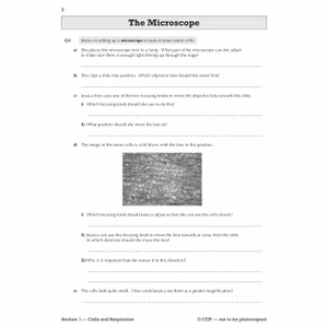 KS3 Biology Workbook (Ages 11-14) Look Inside Image 4