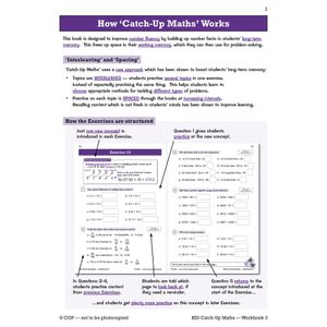 KS3 Maths Catch-Up Workbook 3 (with Answers) Look Inside Image 2