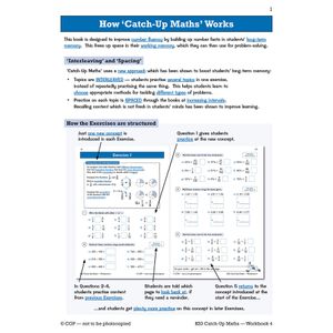 KS3 Maths Catch-Up Workbook 4 (with Answers) Look Inside Image 2